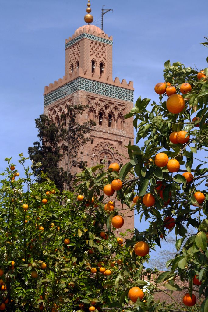 About Book Now Travel In Morocco