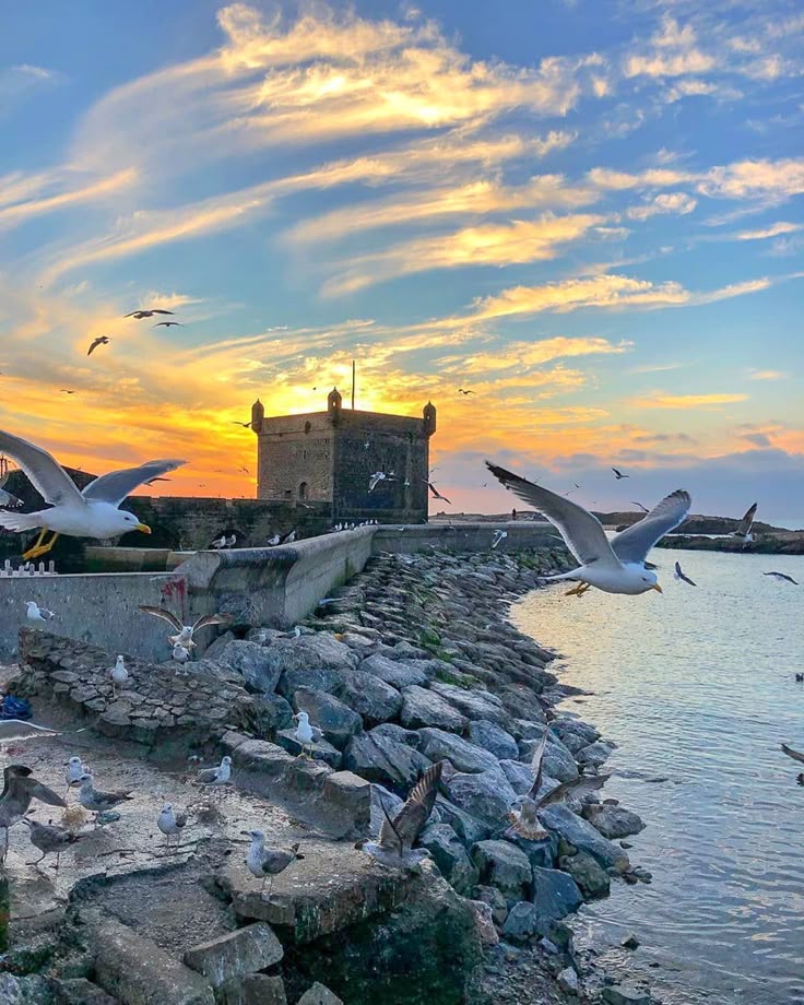 MOROCCO on Instagram_ “Sunset over the Fishing Port of Essaouira 😍 #inmorocco _ Follow us on @moroccohotels Photo @leraisontheway”